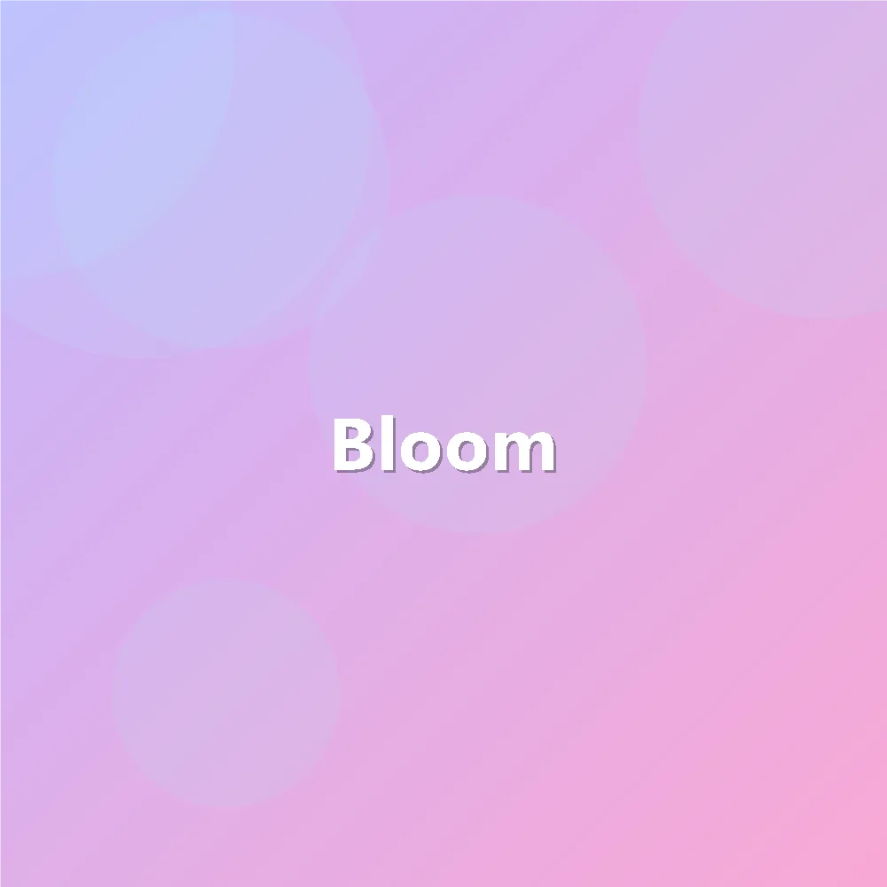 Bloom 花开